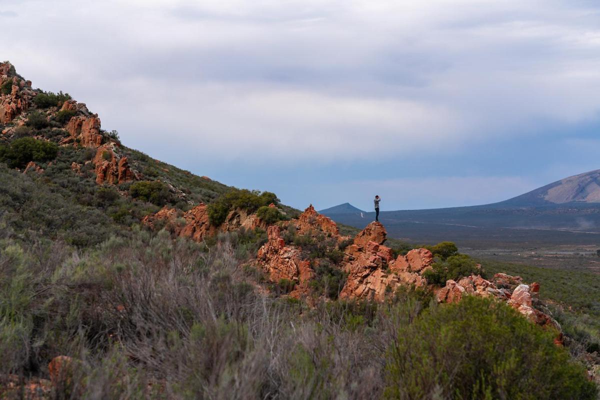 Gecko Rock Private Nature Reserve Goedgemoed Exterior foto