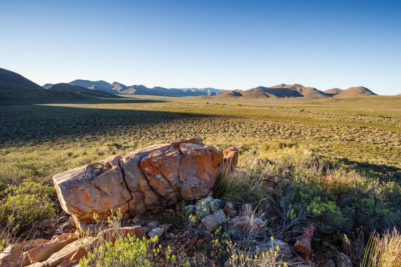 Gecko Rock Private Nature Reserve Goedgemoed Exterior foto